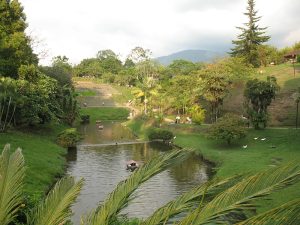 Parque de la vida 2